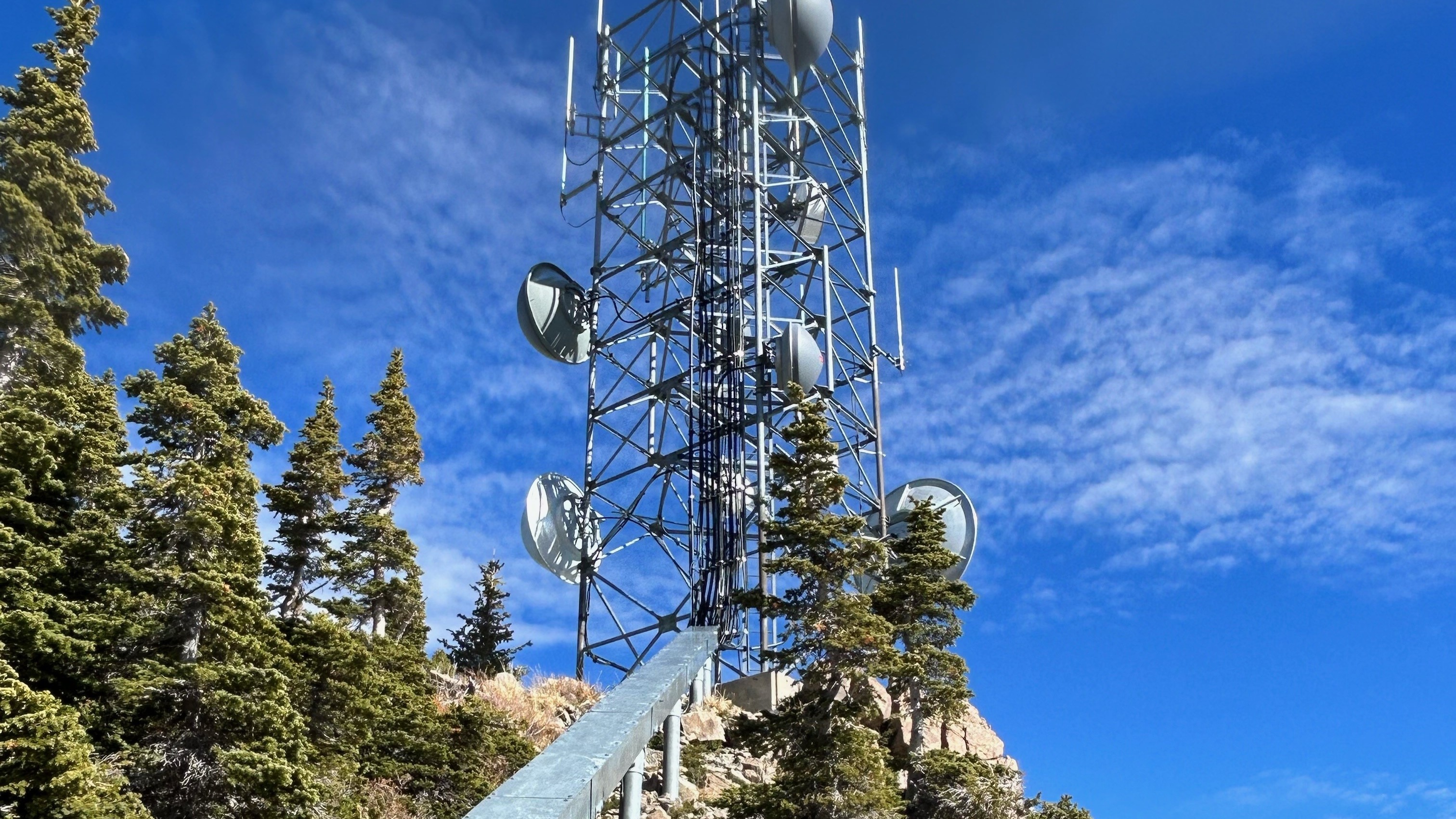 Trees_Tower