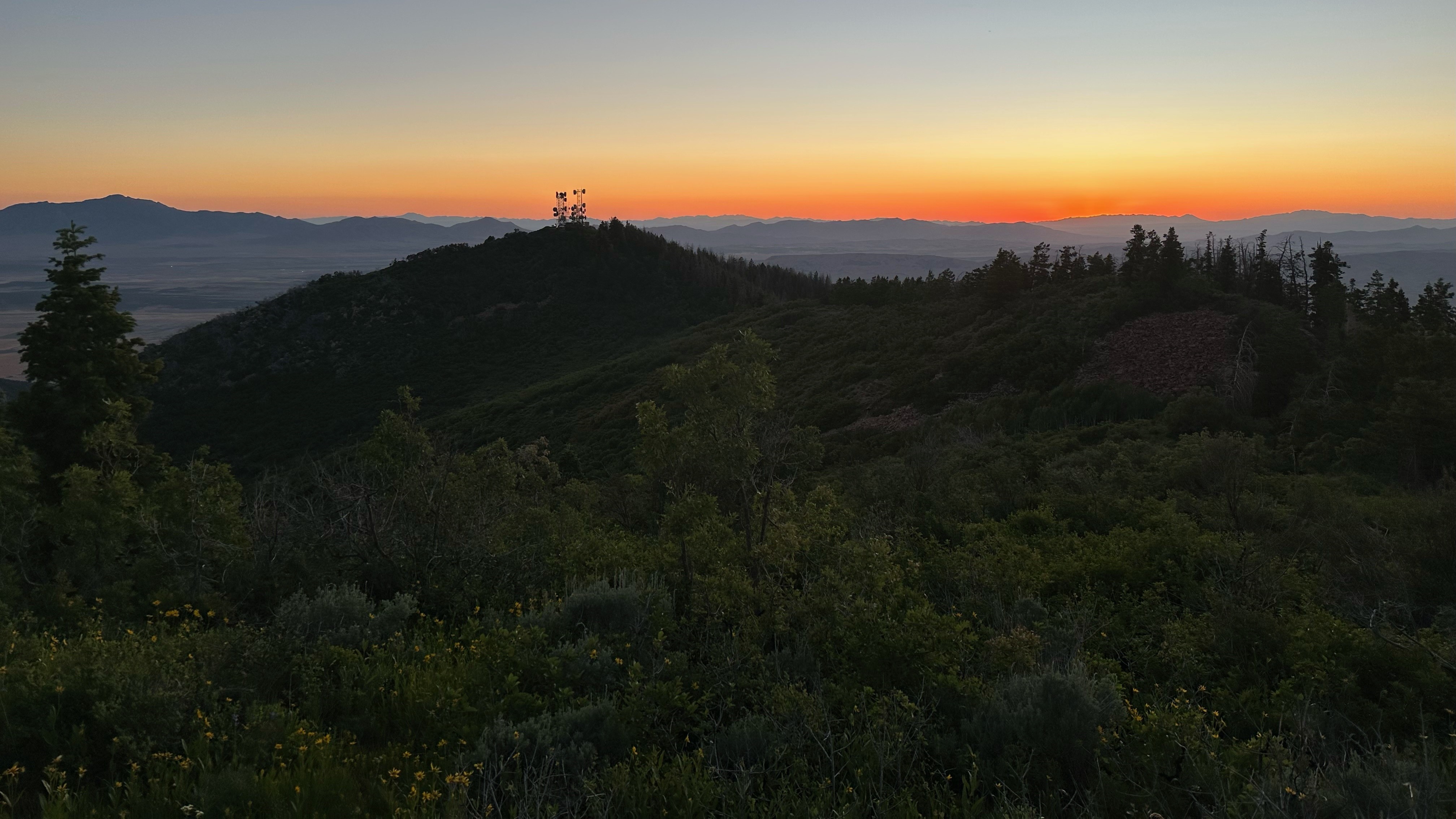 Sunset_Tower